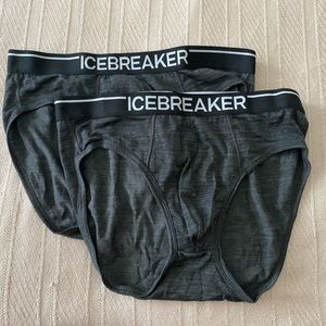 Icebreaker merino briefs